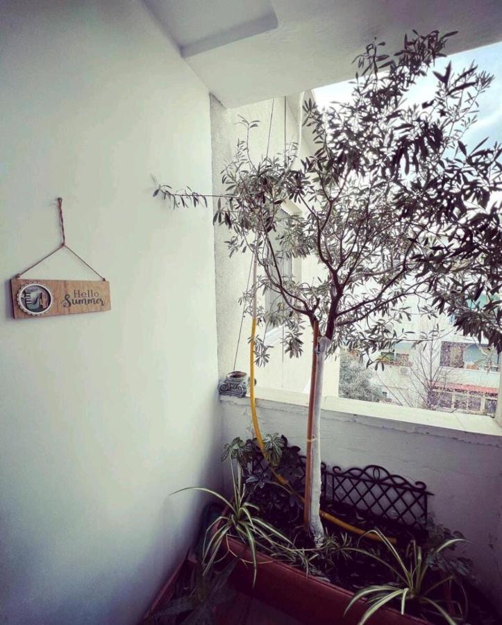 Cozy & Stylish Apartment Tirana Exterior foto
